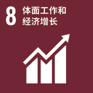 SDG 8 ��������;�������